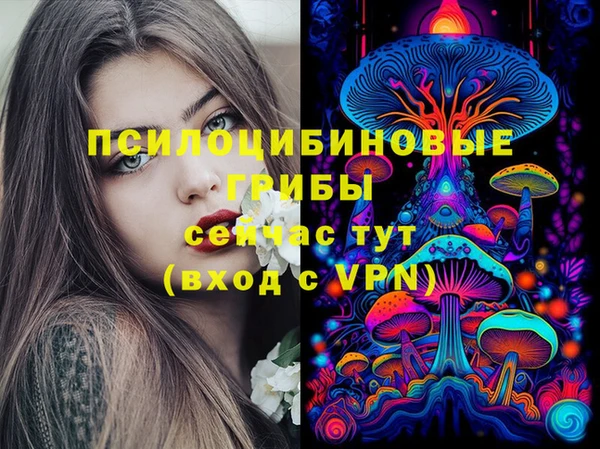 альфа пвп Армянск