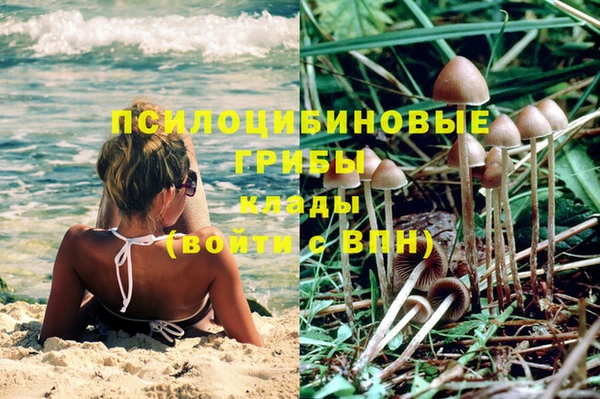 альфа пвп Армянск